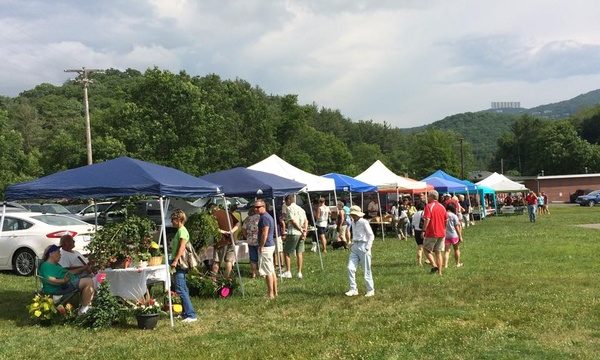 11045505_888033441269495_36533105554658894_n