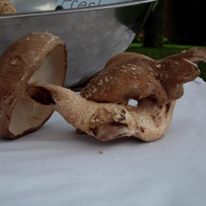 399534_361055890633922_699626478_n