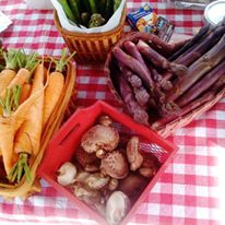 543201_329859190420259_325551050_n