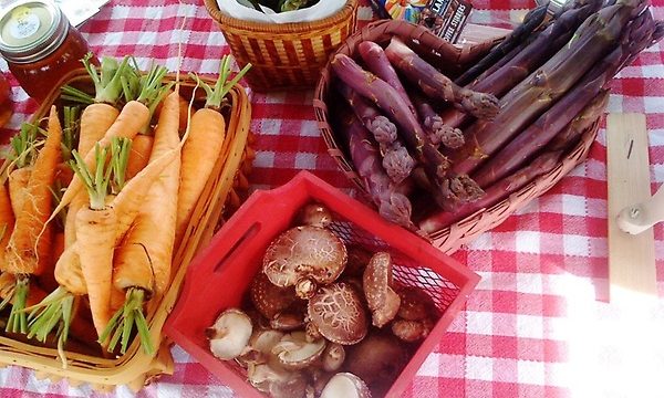 Avery Co farmers mkt 3