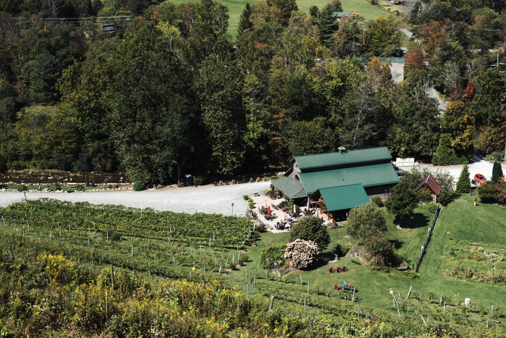 Grandfather Vineyard3