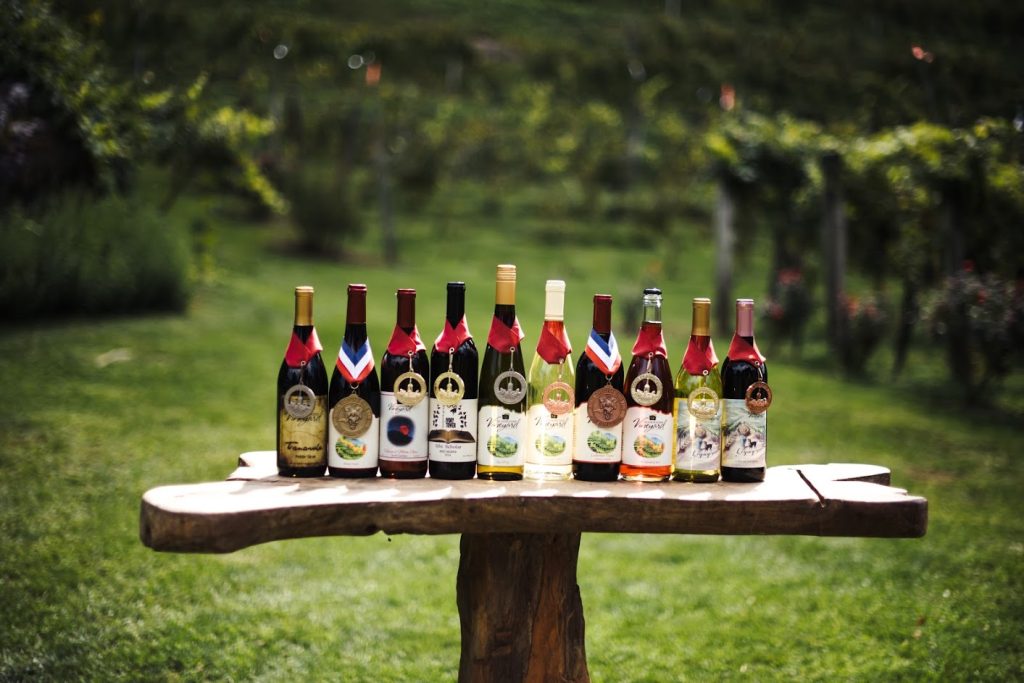 Grandfather Vineyard4