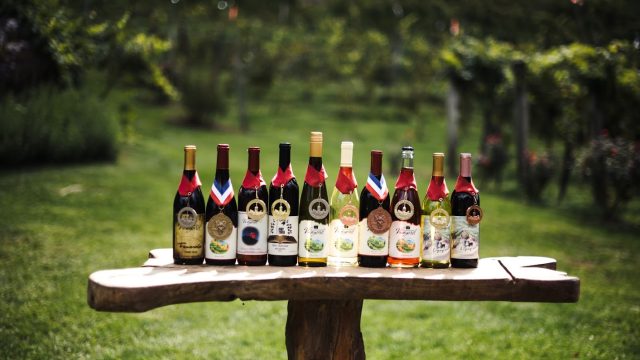 Grandfather Vineyard4