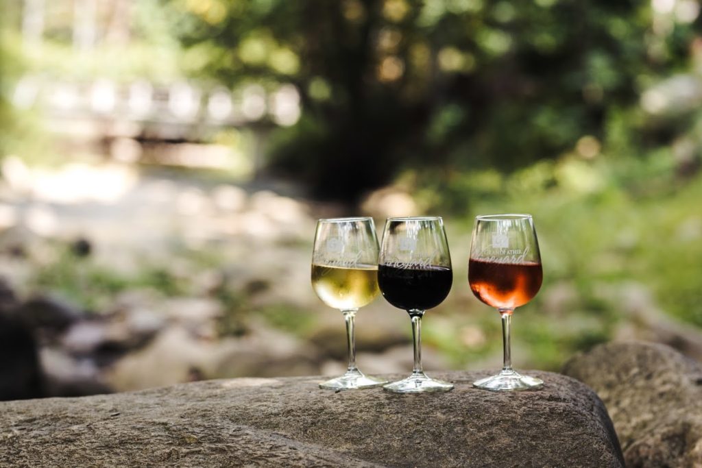 Grandfather Vineyard5