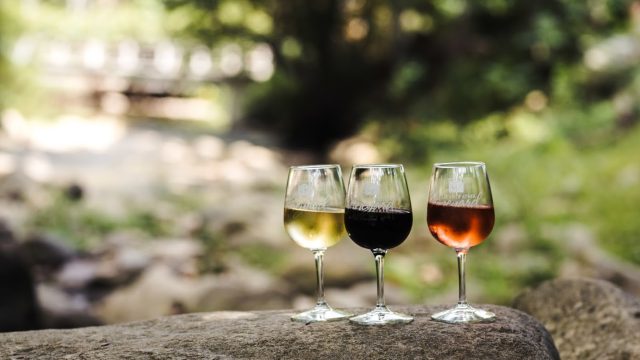 Grandfather Vineyard5