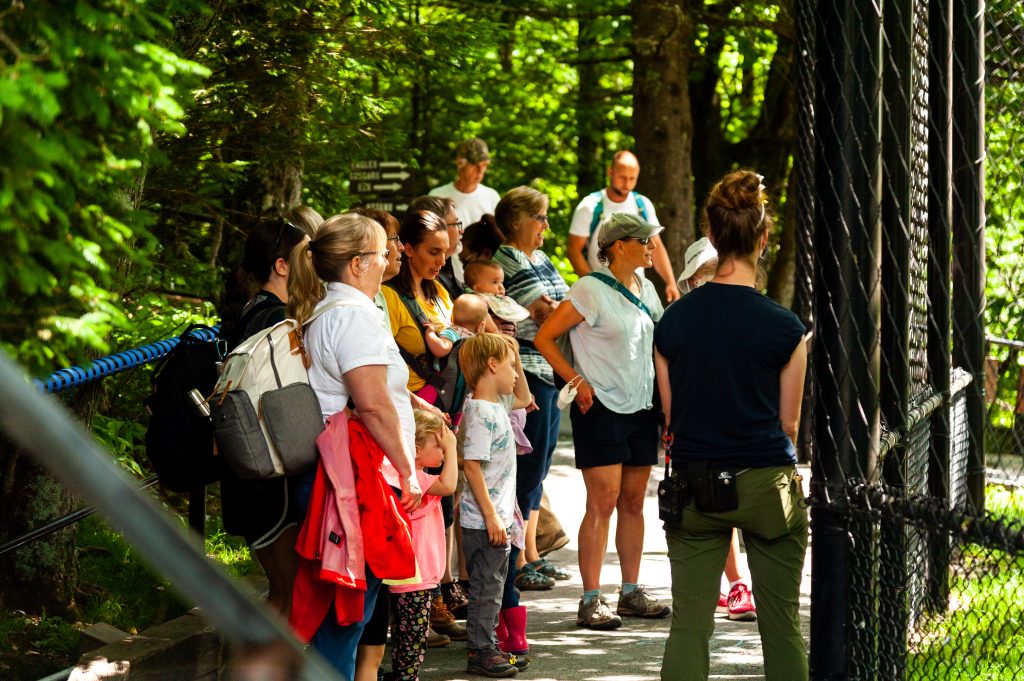 Daily Program – Keeper Talk_Credit Grandfather Mountain Stewardship Foundation