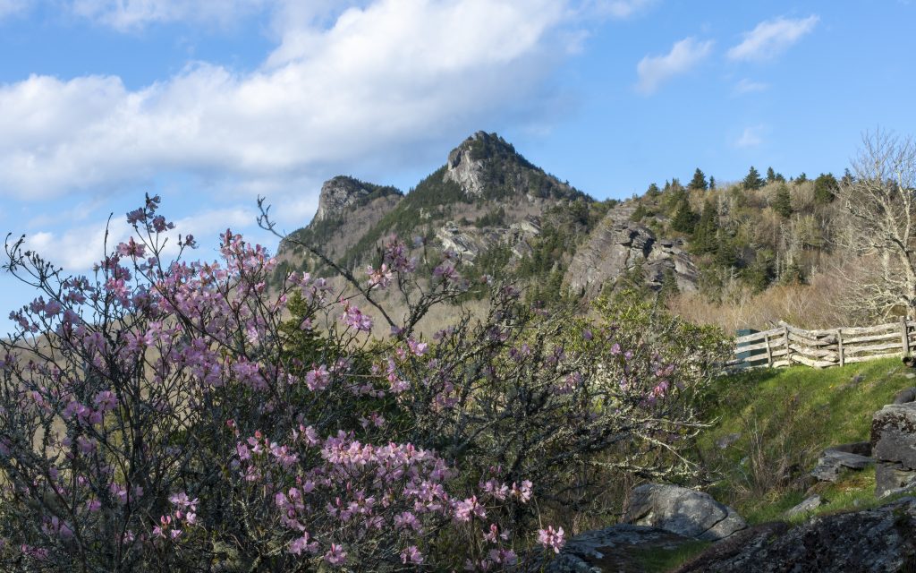 SkipSickler–21-05.08–2993-201