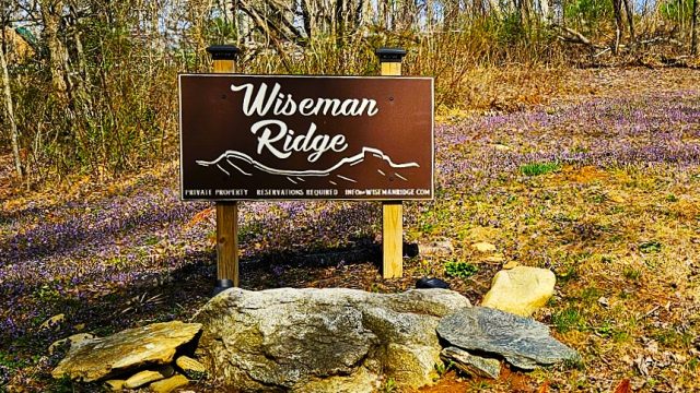 Sping Promo Small Sign 2025