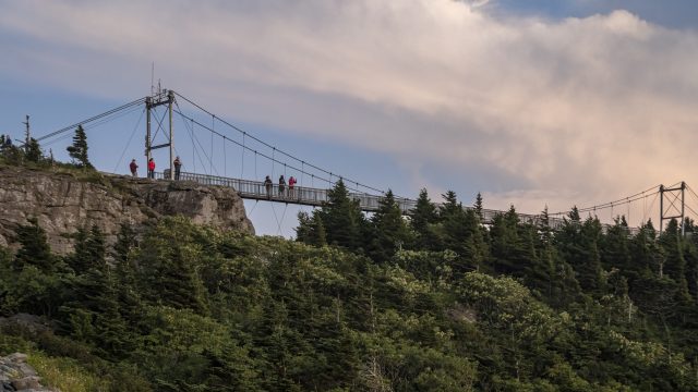 ©Skip Sickler20240809_1SS4572