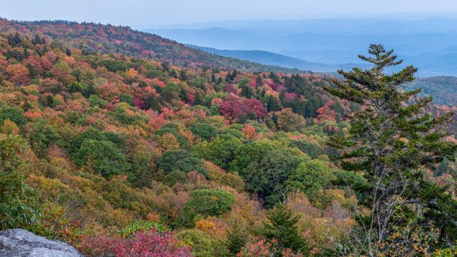 – ©SkipSickler20231005_NEF7723-Pano-Edit-Edit-Edit-2