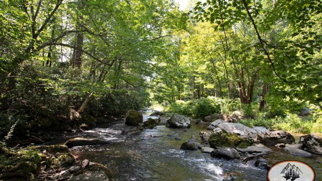 July-2023-Doe-River2_Watermarked