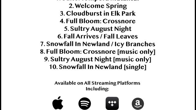 Annus Ex promo card back wstroke