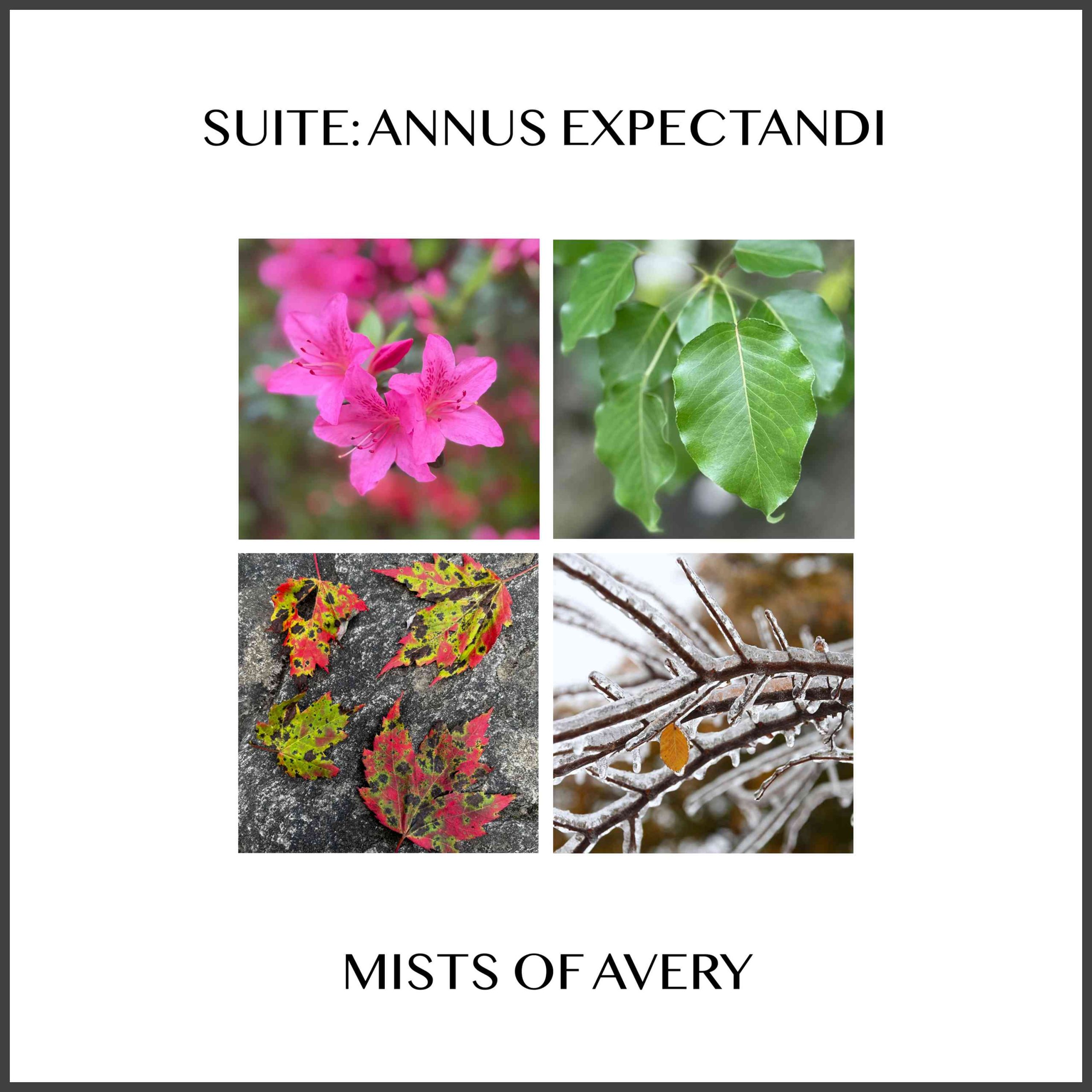 Anuus Ex Album cover front small wstroke REVISED