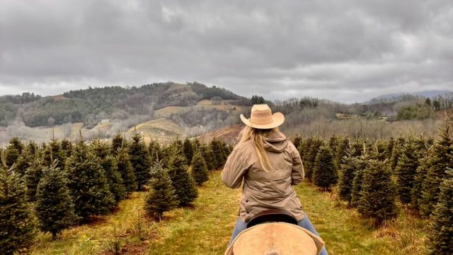 PHOTO-2024-03-24-18-06-39