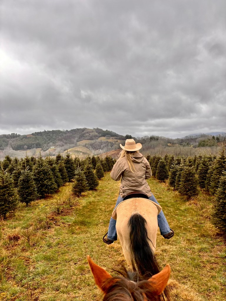 PHOTO-2024-03-24-18-06-39